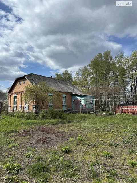 Будинок, Великі Гадомці: цегляні стіни, централізоване опалення - фото 5