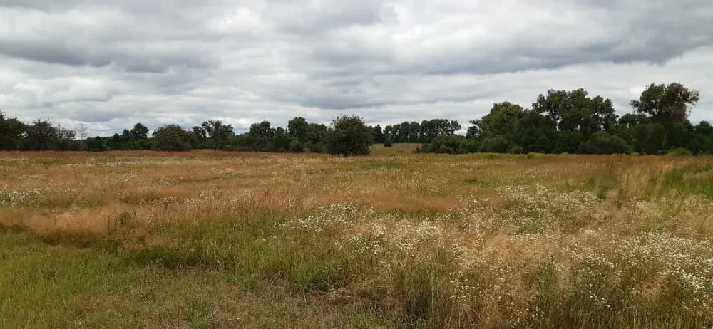 Ділянка 10 соток, Мироцьке: під житлову забудову, метро 20-30 хв - фото 4