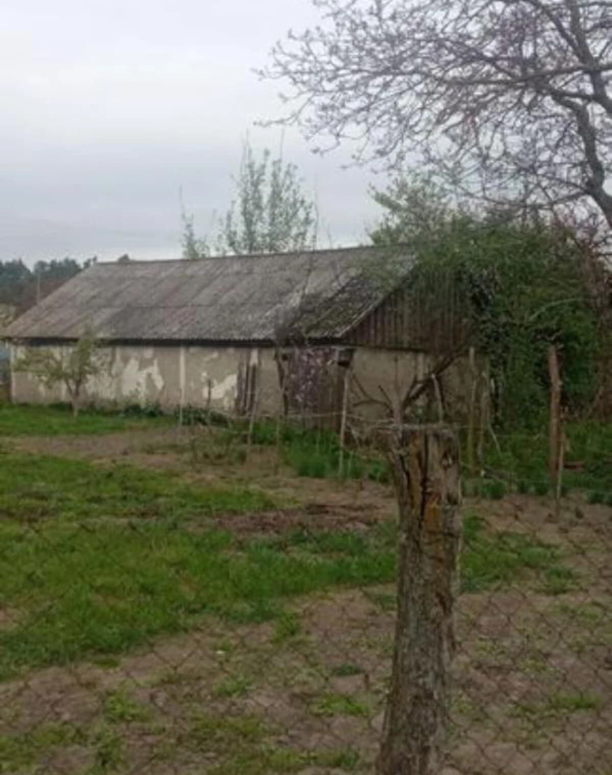 Будинок, Горбачі (Козелець): пічне опалення, 24 сотки, гараж із підвалом - фото 5