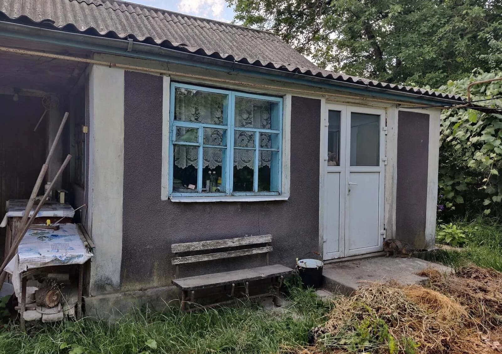 3-кімнатний будинок, Глушківці: сад, літня кухня - фото 5
