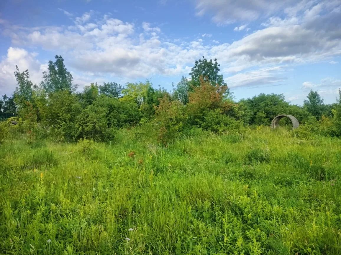 Ділянка 30 соток, Смородське: під забудову, 2 км до санаторію - фото 3