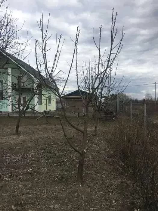 Будинок, Білогородка: молодий сад, твердопаливний котел і електрика - фото 4