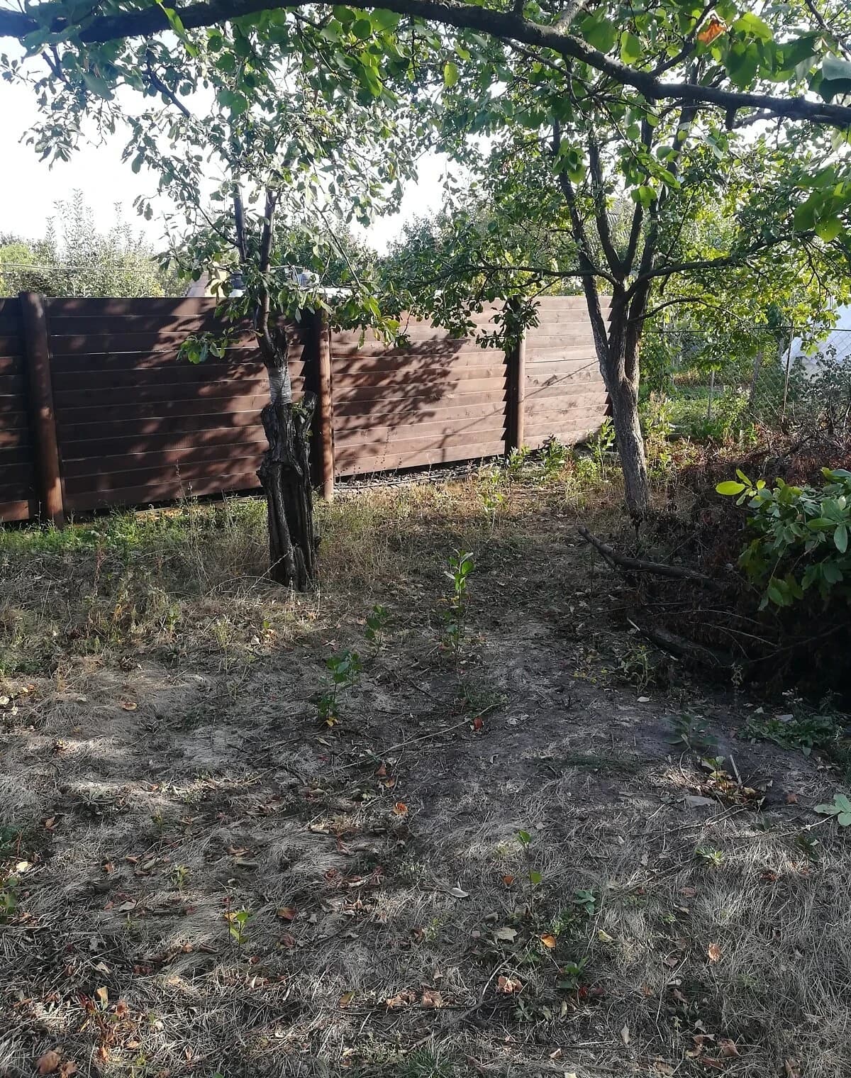 Ділянка 4,6 соток, Підгороднє: сад і паркан, чорнозем - фото 2
