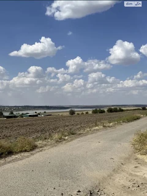 Ділянка 9.55 соток, Нова Дофінівка: житлова забудова, вода, газ - фото 4