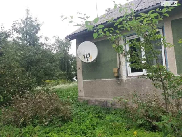 Будинок, Брищі: бесідка, свердловина, 66 соток - фото 4