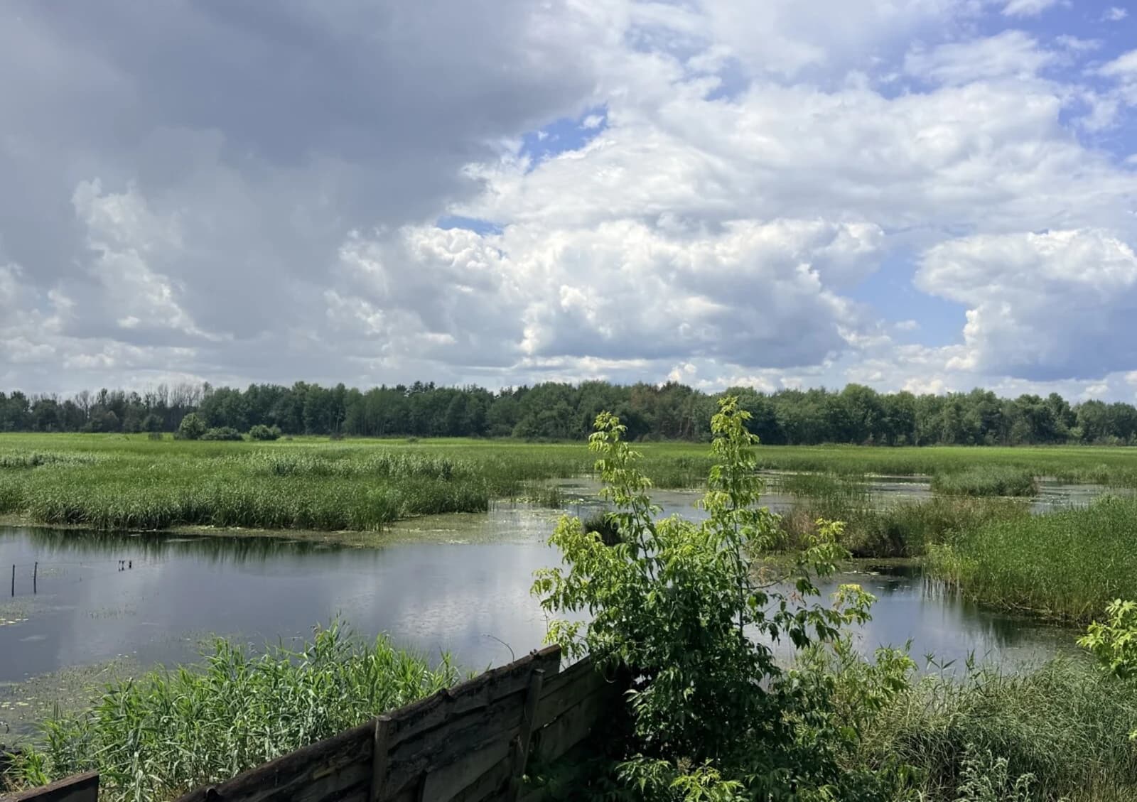 Ділянка 12.5 соток, Кедина Гора: під житлову забудову, свердловина, електрика