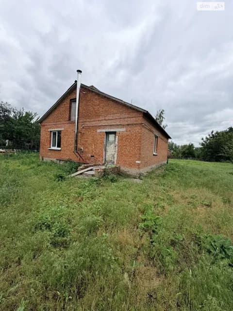 Будинок, Нові Мартиновичі: гараж із підвалом, 53 сотки, торг можливий - фото 4