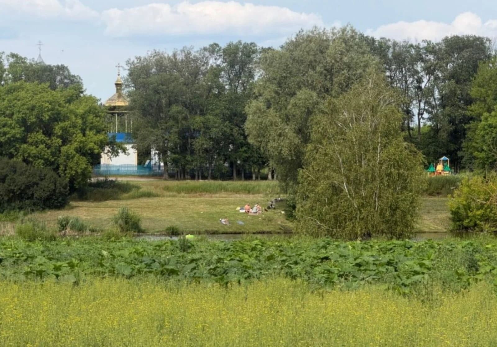 Ділянка 60 соток, Грузьке: природне озеро, електрика і газ - фото 3
