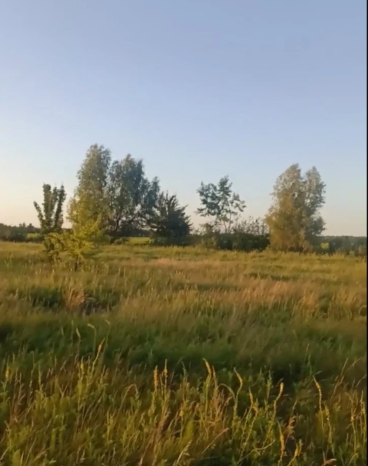 Ділянка 15 соток, Корнин: під житлову забудову, струмок, чорнозем - фото 5