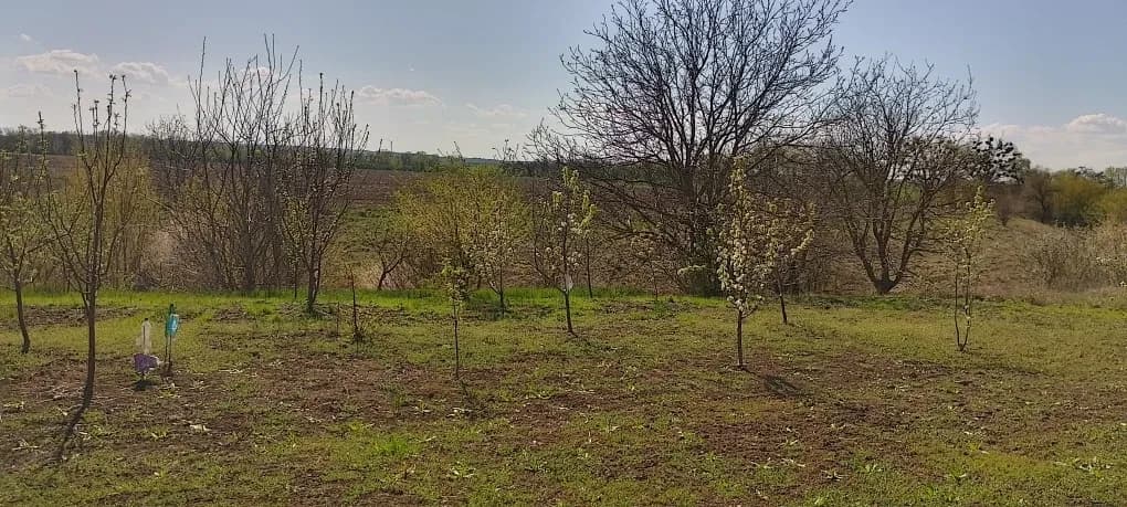 Ділянка 15 соток, Бобриця: до Дніпра 100 м, до Канева 5 км - фото 3
