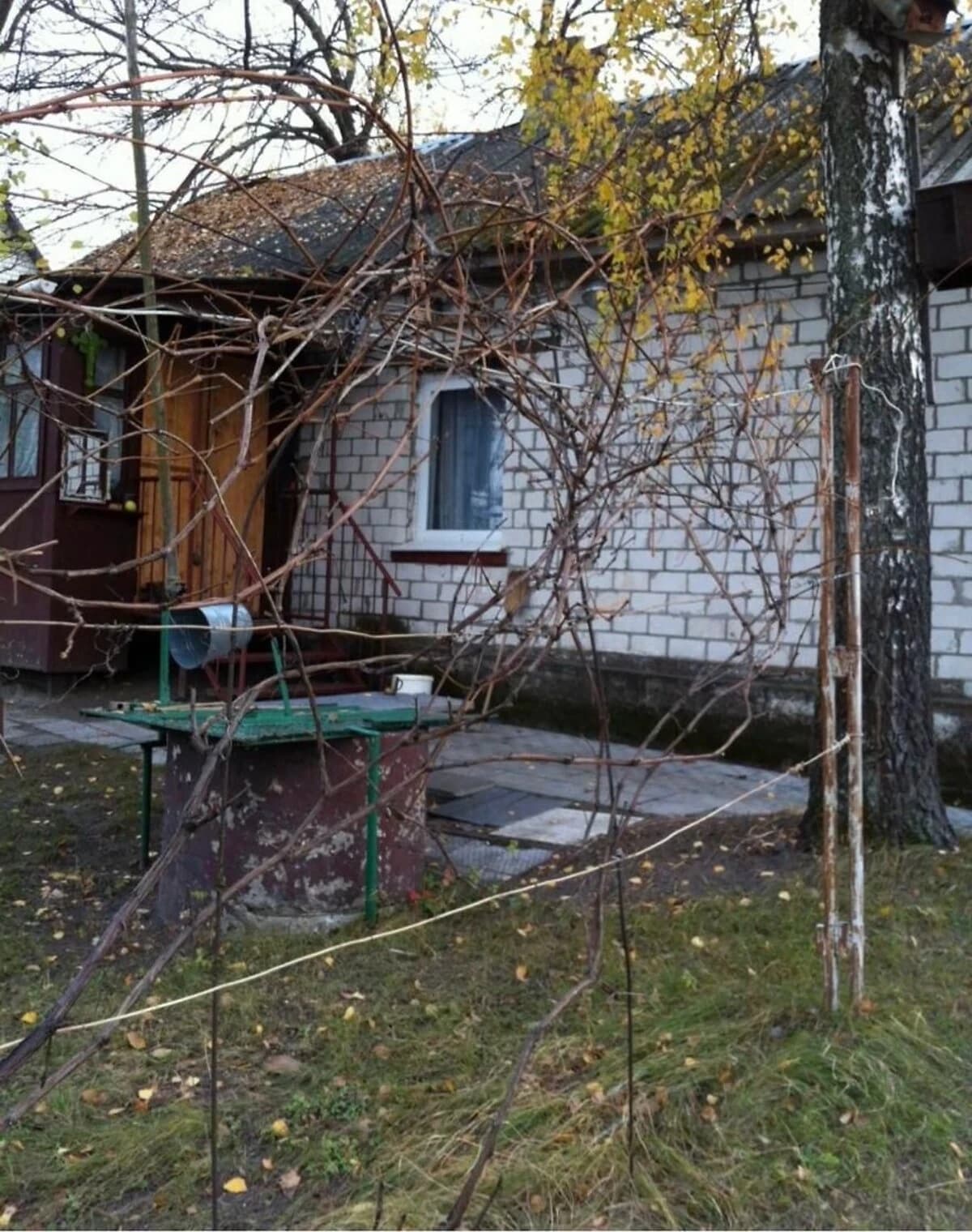 Будинок, Надинівка: бесідка, 27 соток, пічне опалення - фото 5