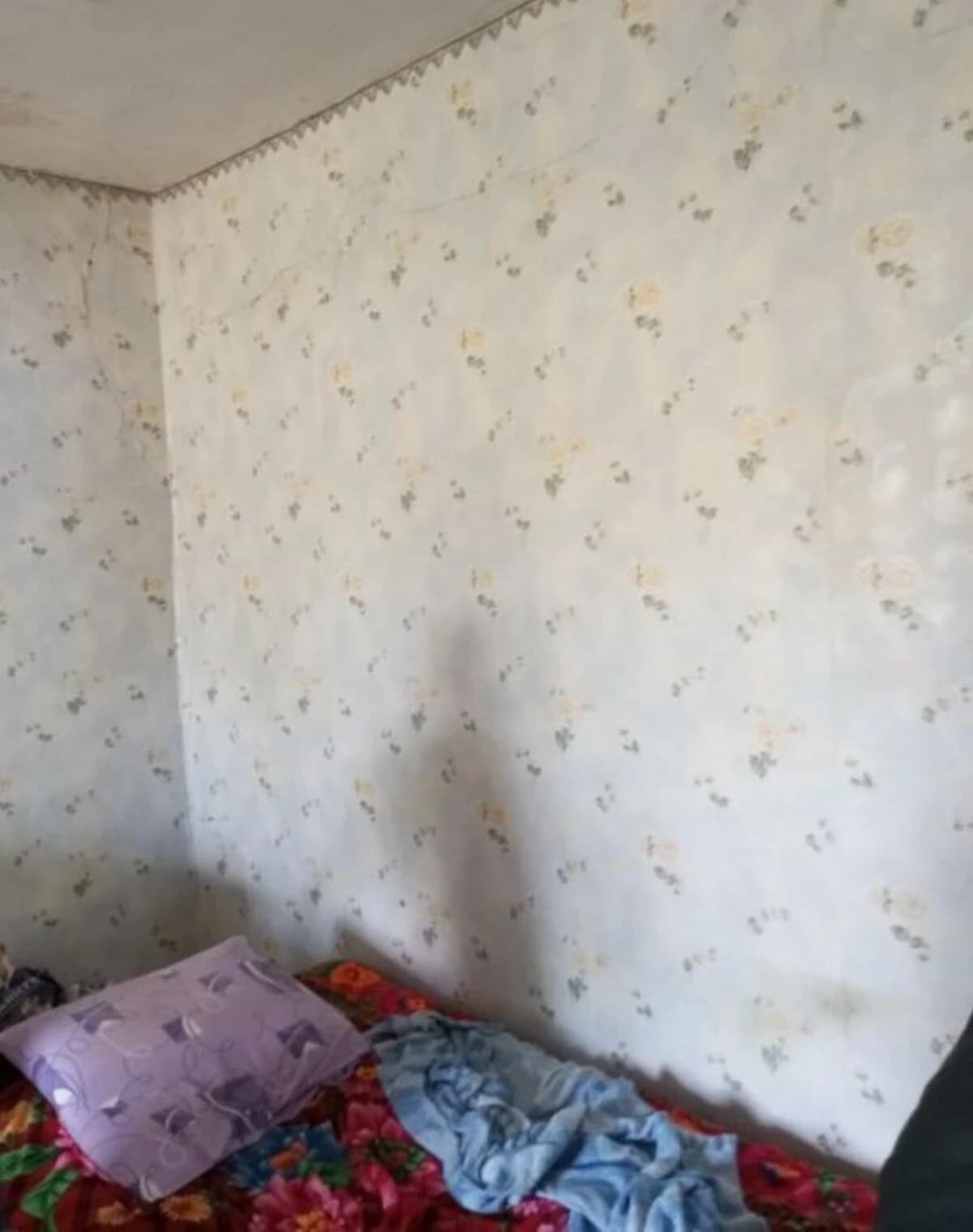Частина будинку, Драбове Барятинське: пічне опалення, 1 сотка, електрика - фото 4