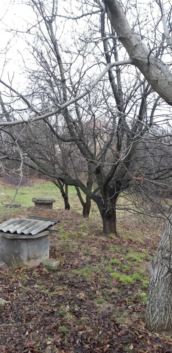 Ділянка 10 соток, Лукавиця: під забудову, перша лінія - фото 2