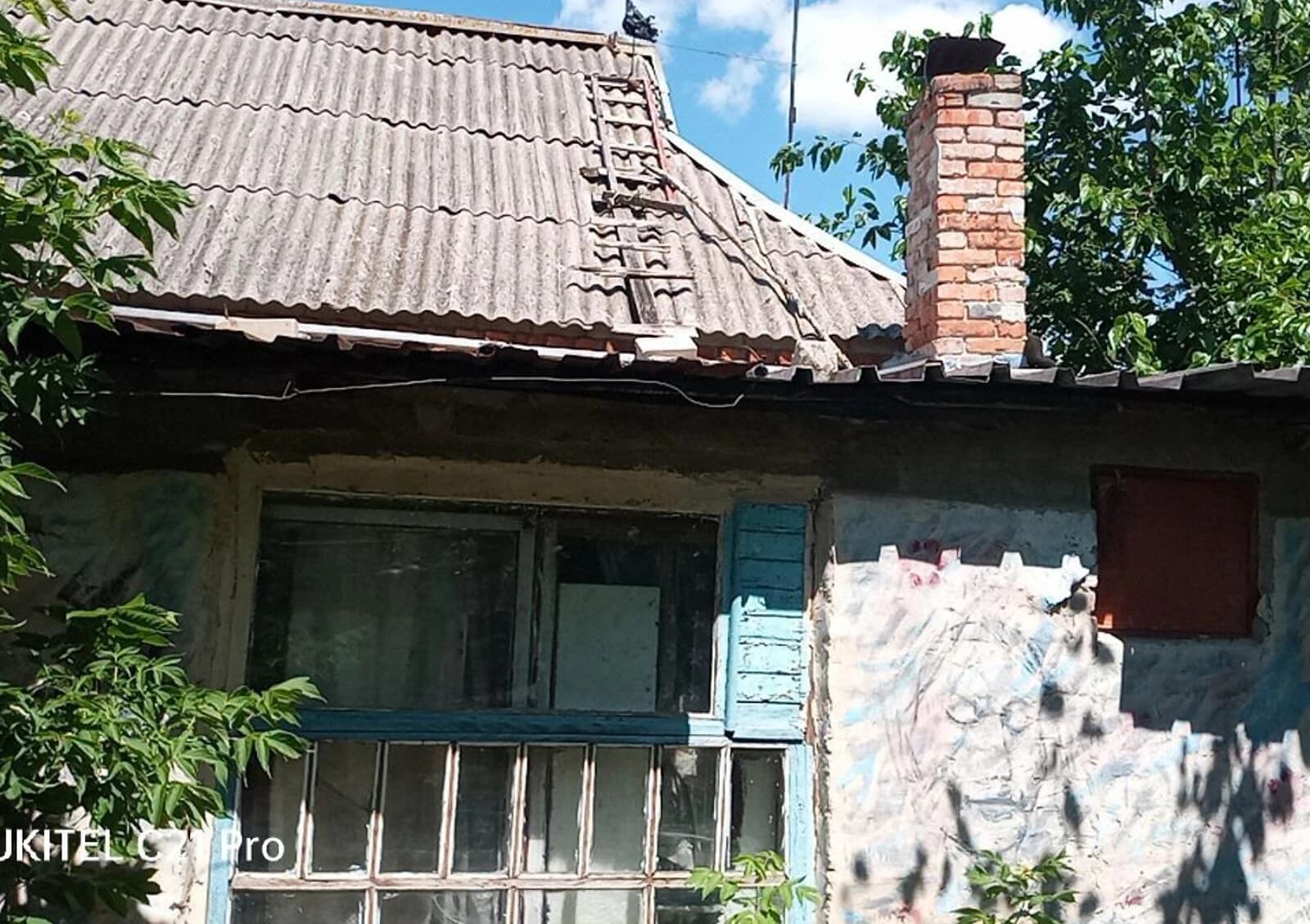Дача, Гурівка: 40 соток, веранда, бесідка - фото 5