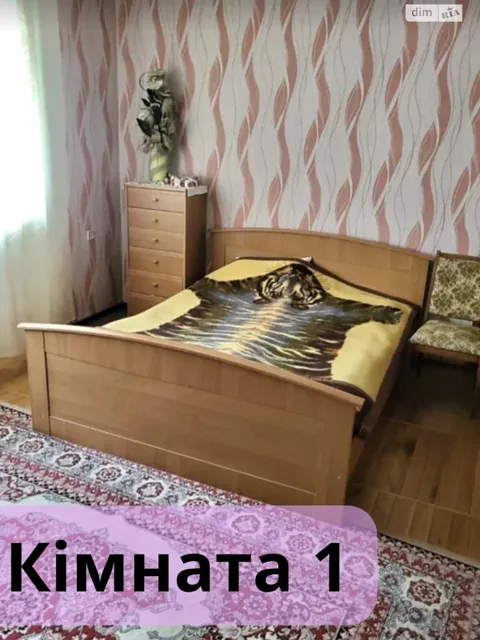 Будинок, Дунаївці: гараж, бесідка, 12 соток - фото 3