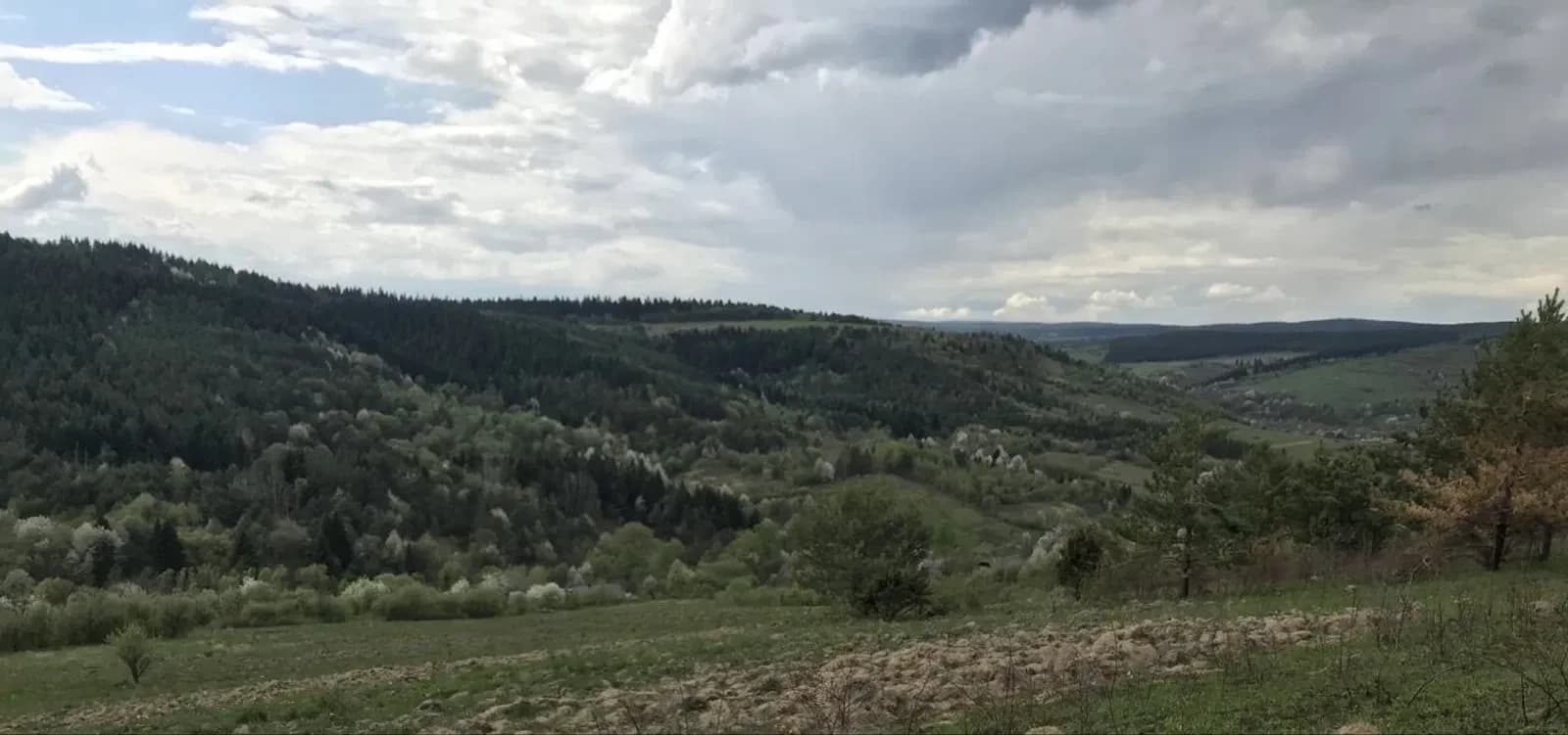Ділянка 650 соток, Княжпіль: комерційне призначення, 4 км до кордону - фото 5
