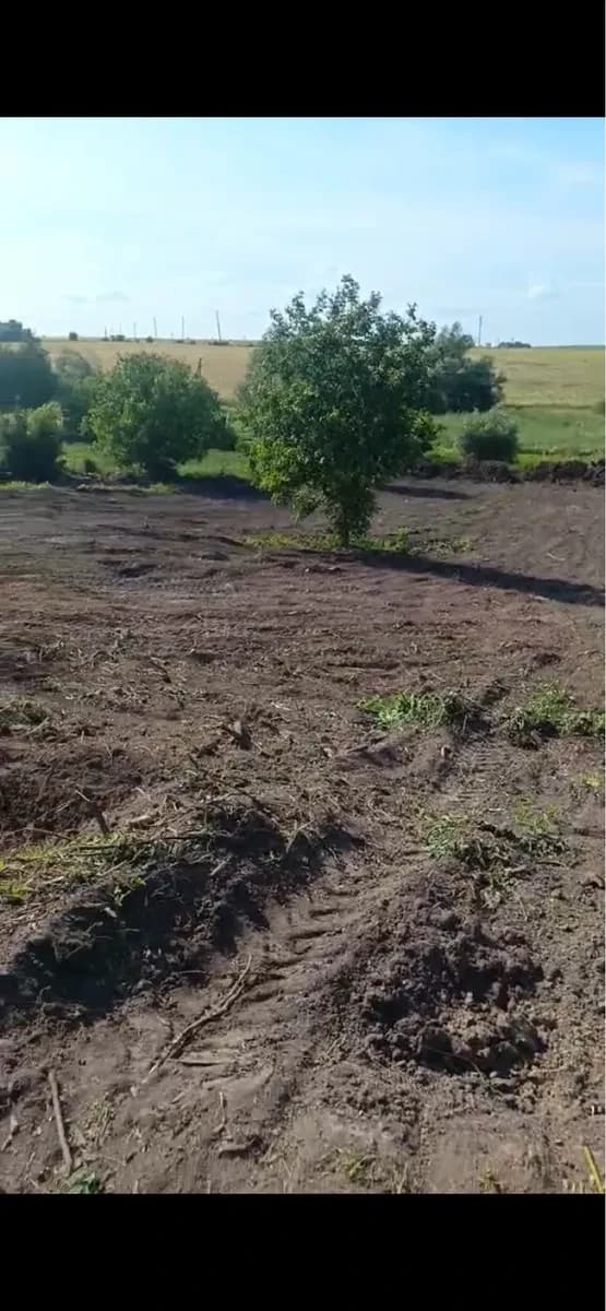 Ділянка 41 соток, Лісові Гринівці: можна викопати ставок - фото 3