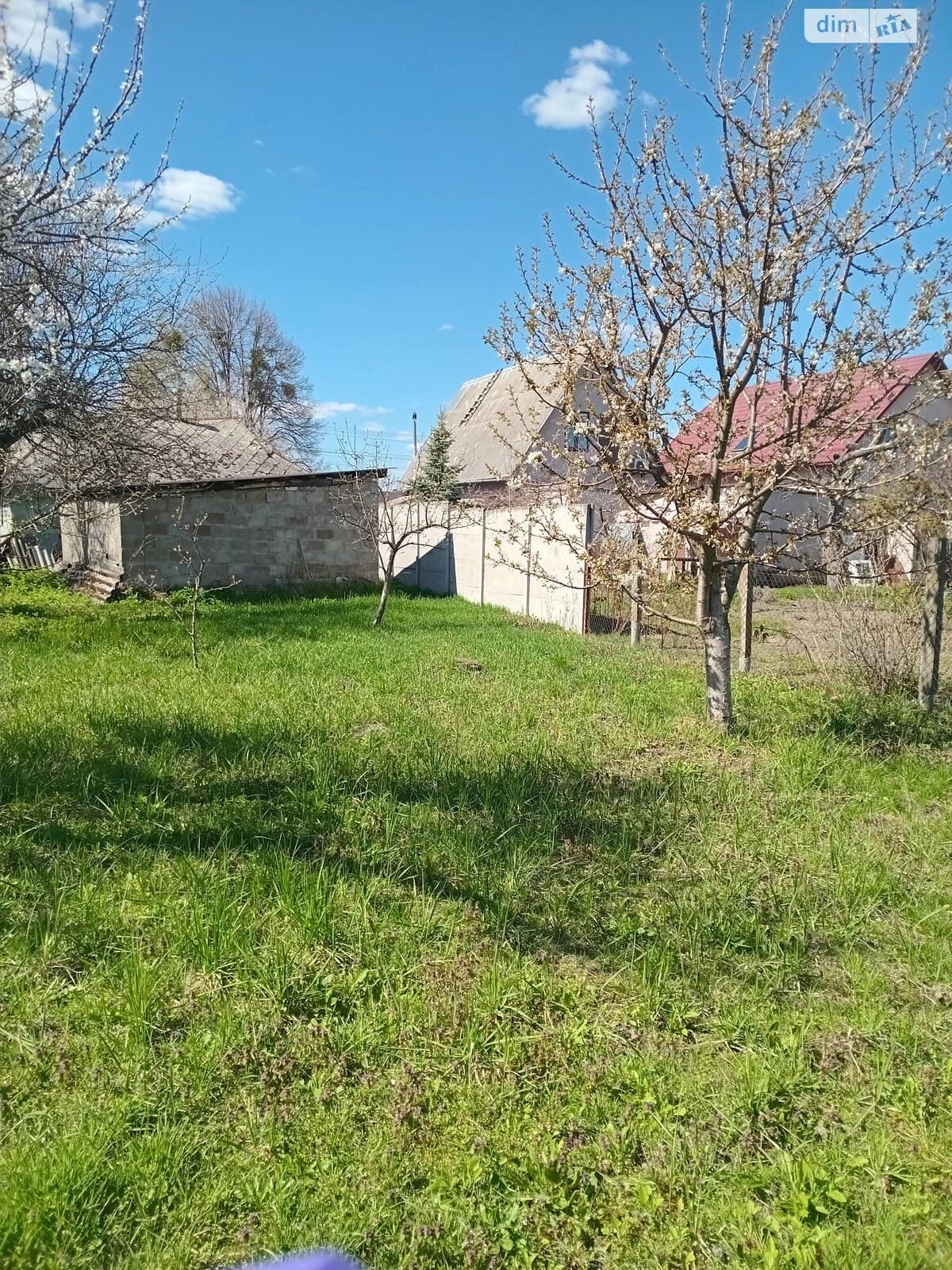 Ділянка 18 соток, Петрушки: під житлову забудову, город і сад - фото 5