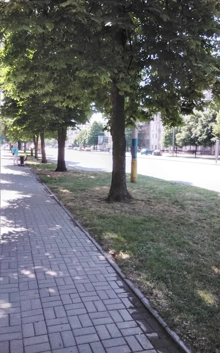 1-кімнатна квартира, Вознесенівський: потребує ремонту, вікна у двір - фото 2
