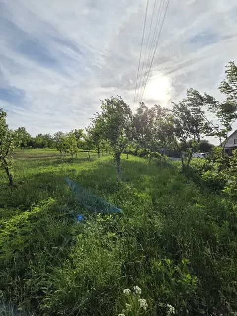 Ділянка 25 соток, Пашківці: під забудову, біля центру села - фото 1