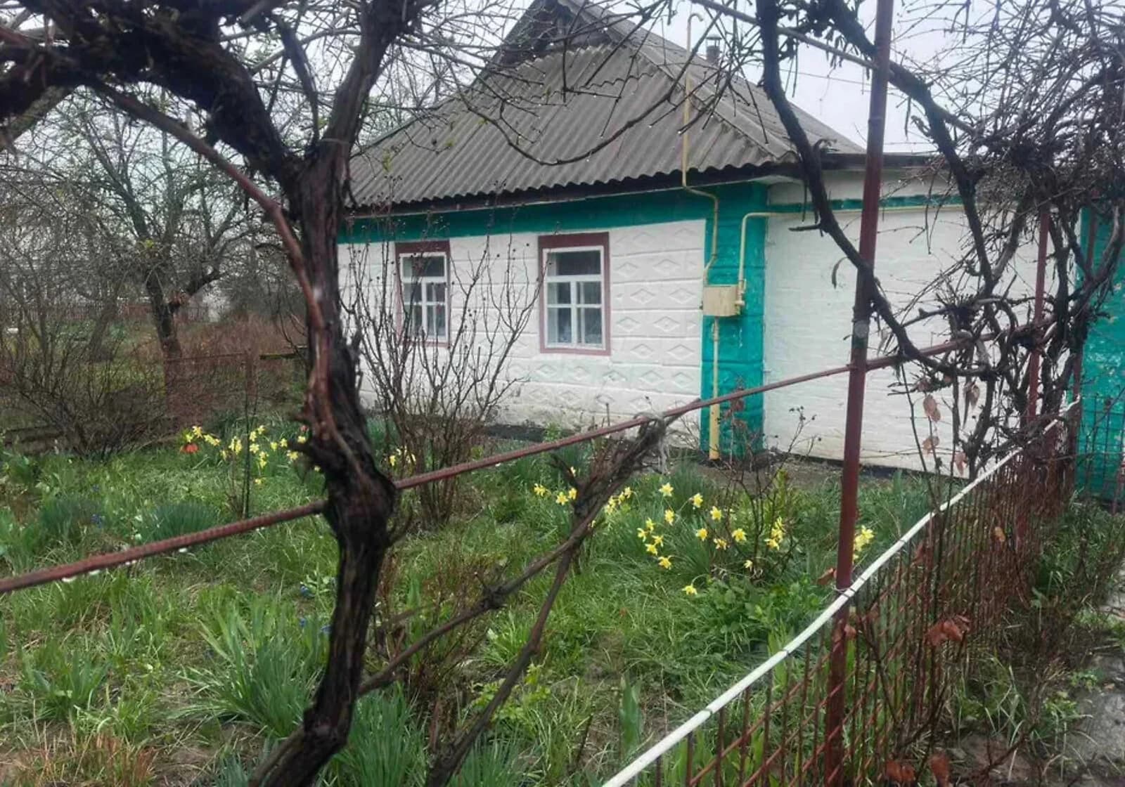 Будинок, Паланка: веранда, свердловина, 36.72 сотки