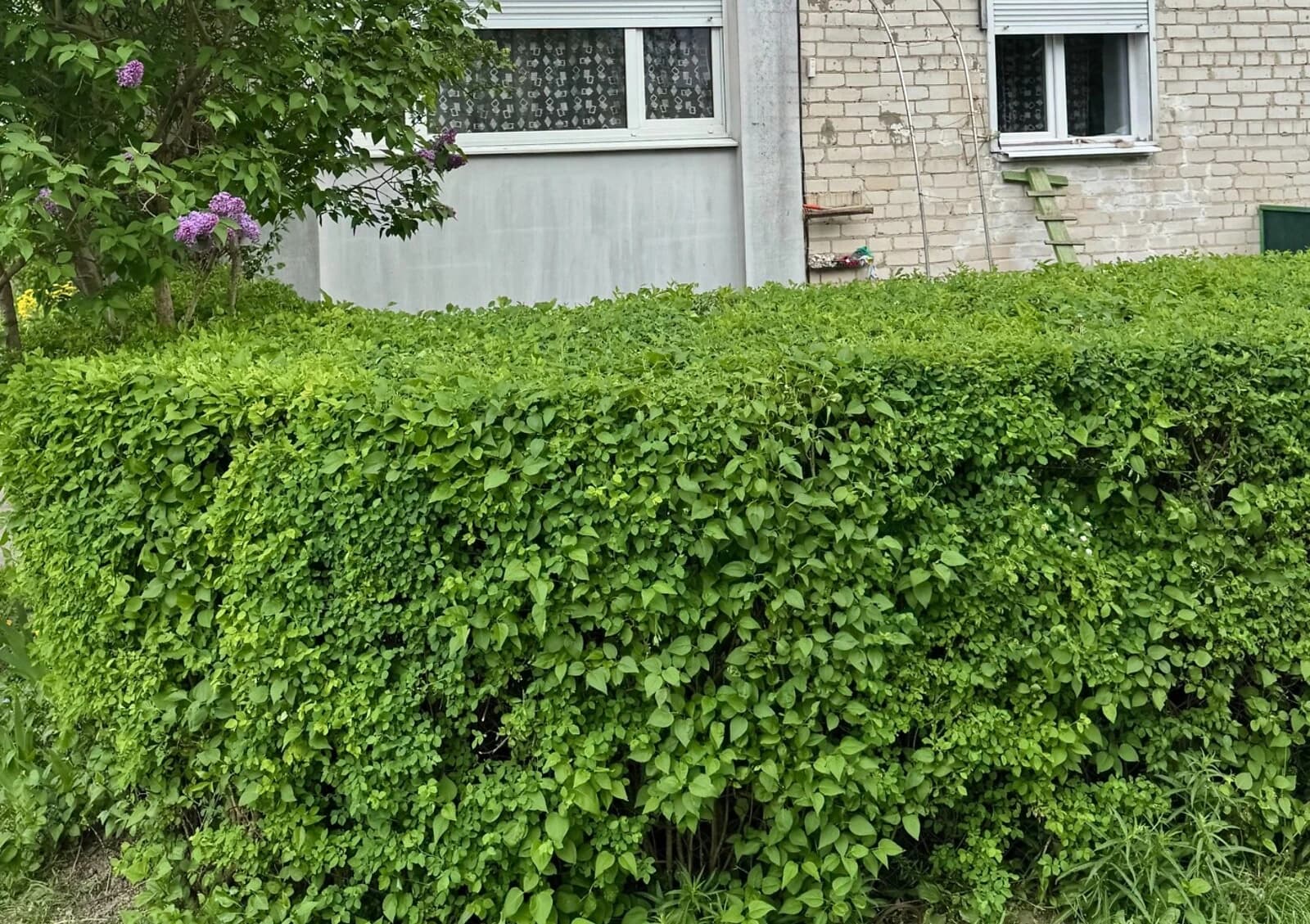 2-кімнатна квартира, Вересневе: автономне газове опалення, цегла - фото 4