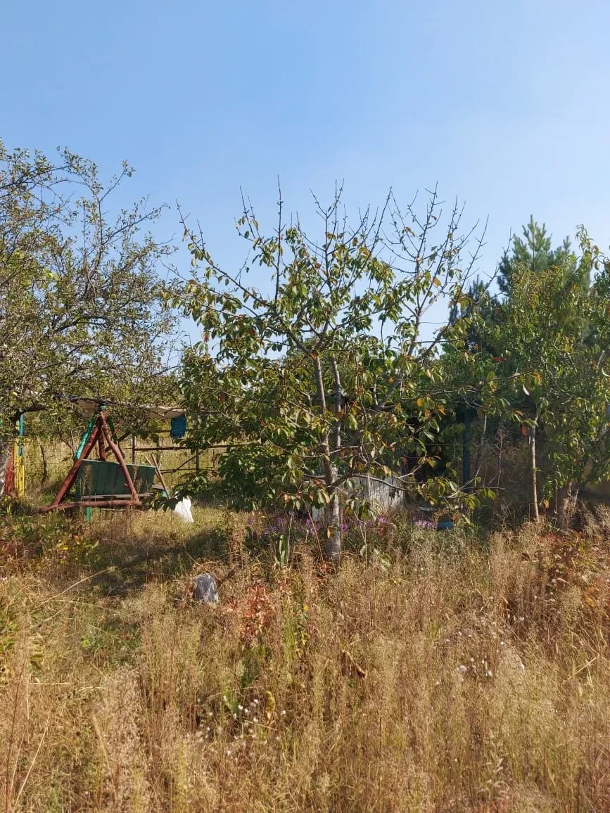 Дача, Мажугівка: вагончик 3×6, ліс за 1 км - фото 4
