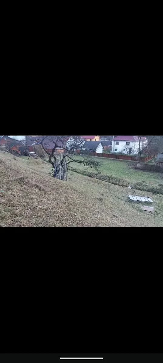 Ділянка 28 соток, Дора: світло і вода, ліс і струмок поруч - фото 2