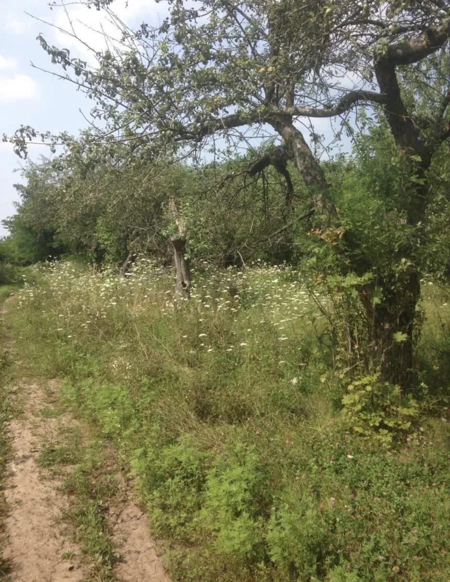 Ділянка 8400 соток, Покотилівка: житлова й суспільна забудова, торг - фото 3