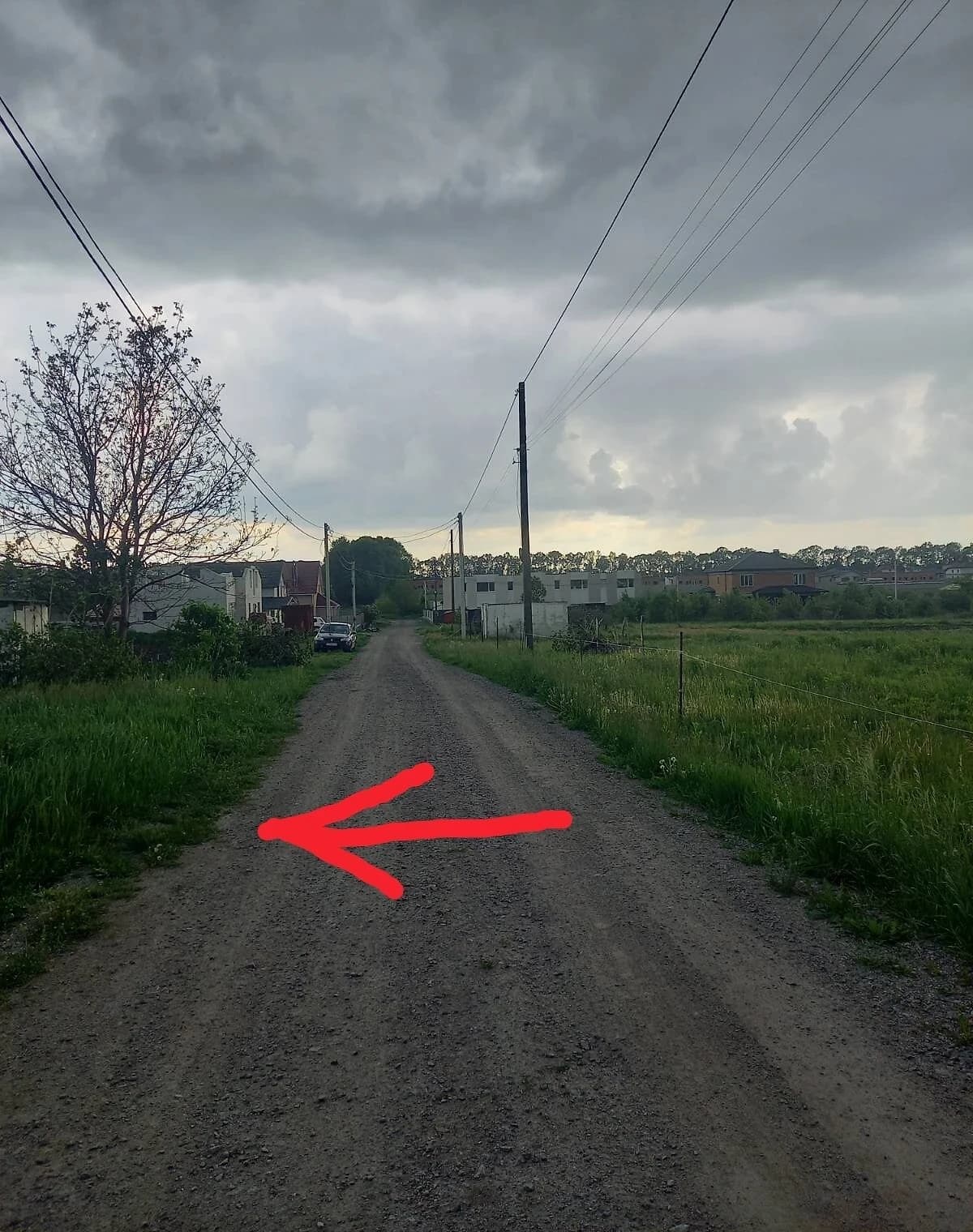 Ділянка 10 соток, Тяжилів: чорнозем, рівнинний рельєф - фото 3