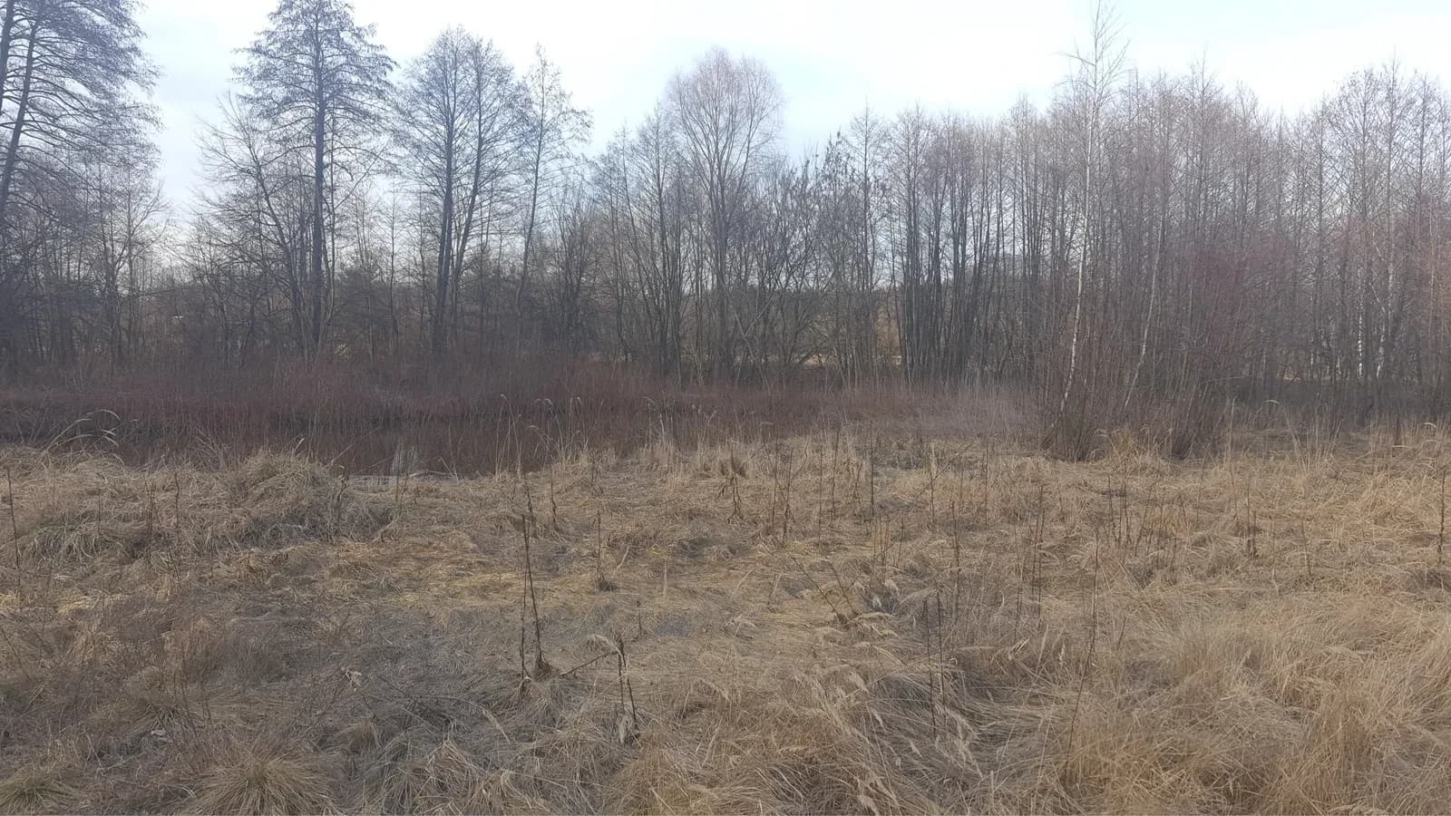 Ділянка 25 соток, Миргороди: власний став, річка за 100 м - фото 3