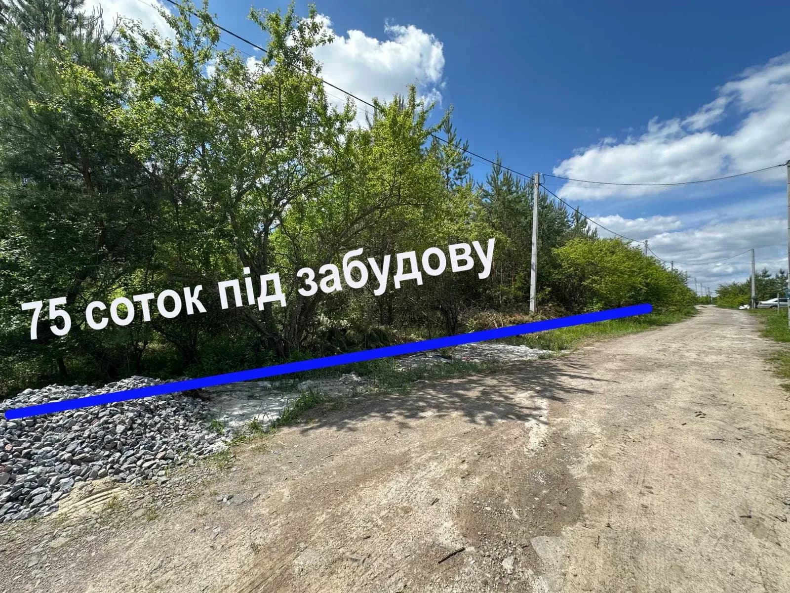 Ділянка 75 соток, Тарасівка: вихід до лісу, фасад 125 м - фото 3