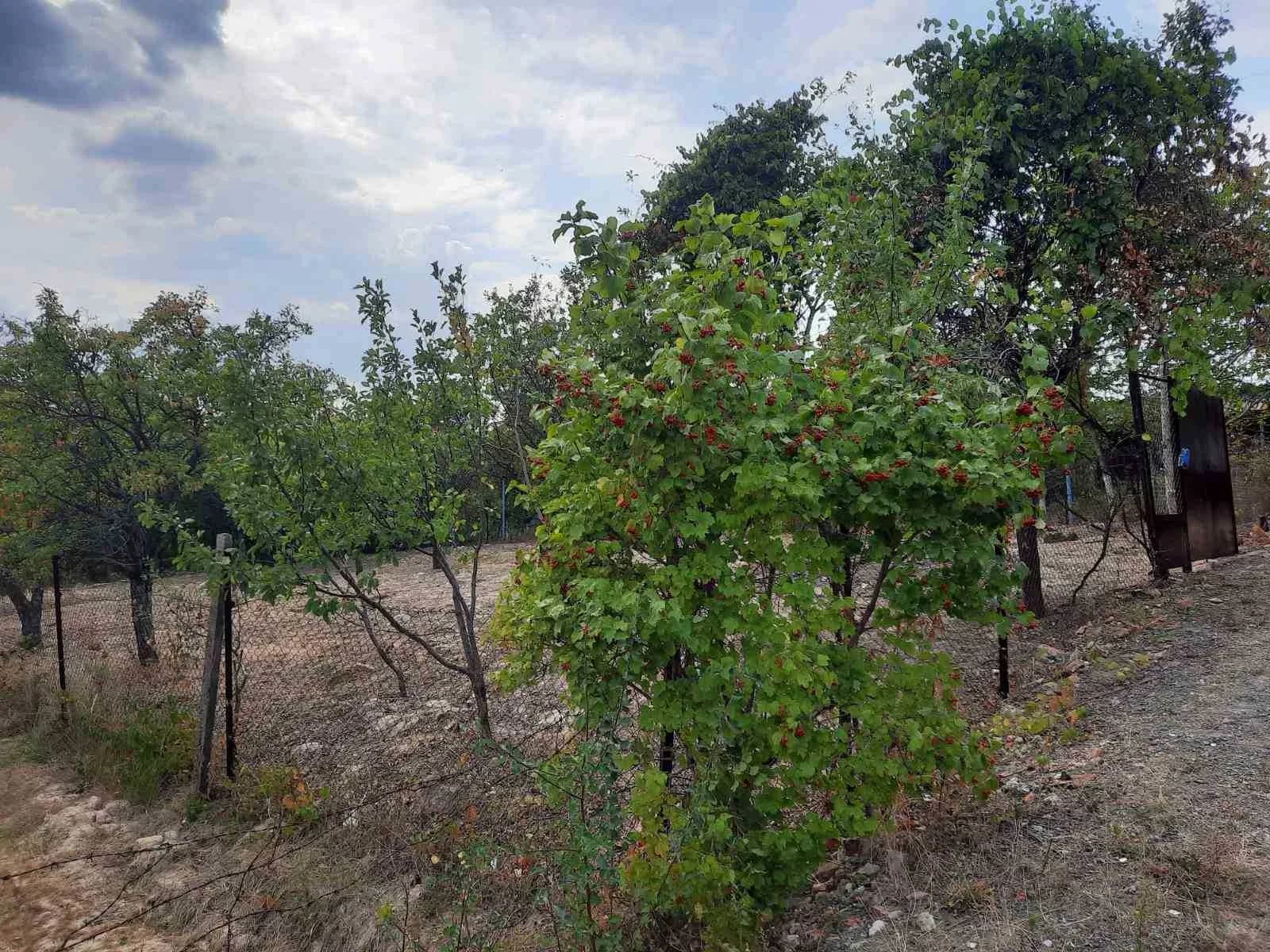 Ділянка 5 соток, Горяни: огорожа, від міста до 5 км - фото 3