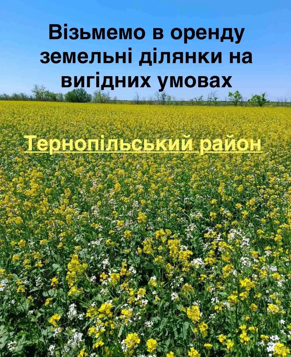 Ділянка 200 соток, Тернопільський район: довгострокова оренда - фото 2