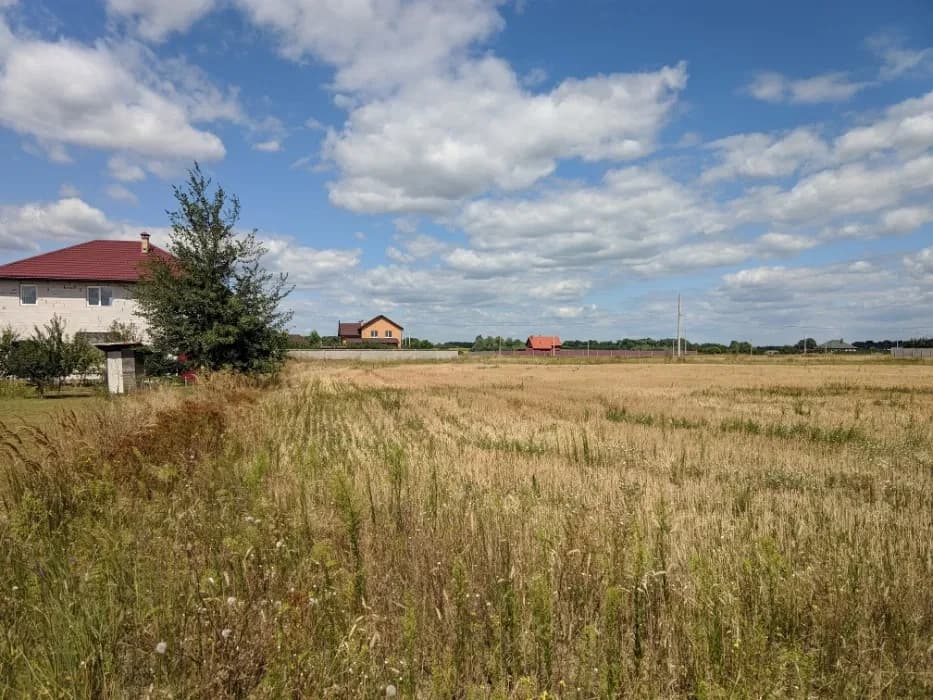 Ділянка 25 соток, Дударків: під забудову, електрика - фото 1