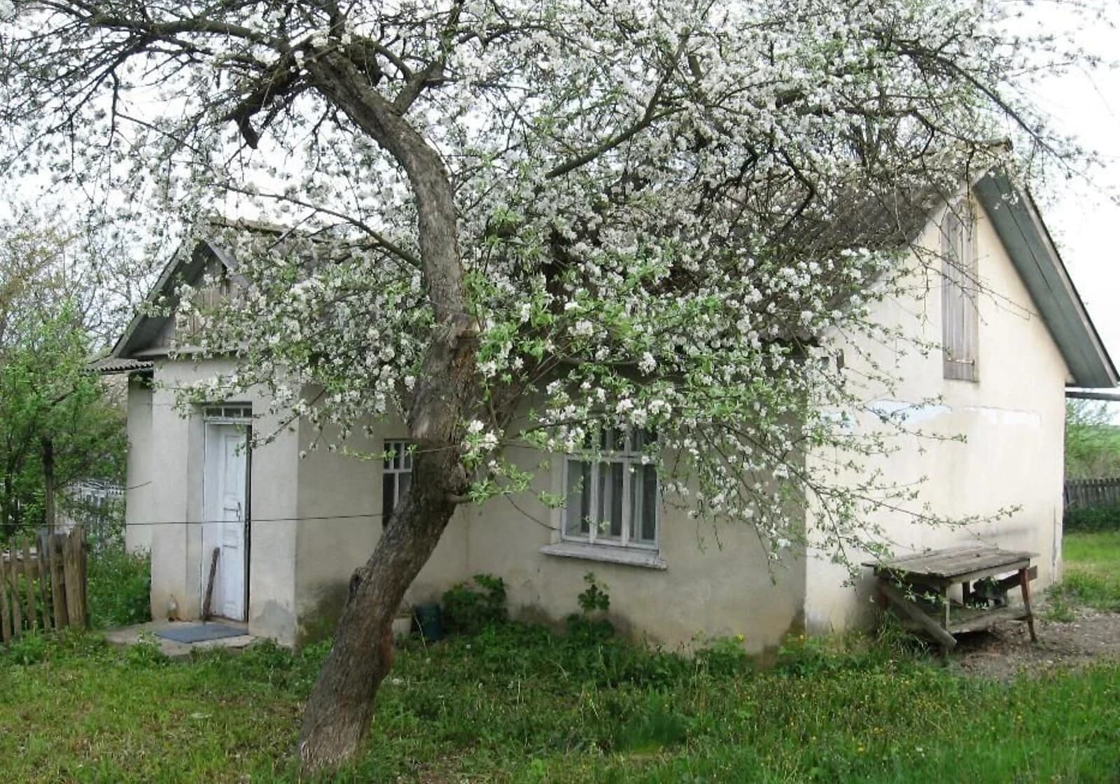 Будинок, Косів: 20 соток, літня кухня, город і сад