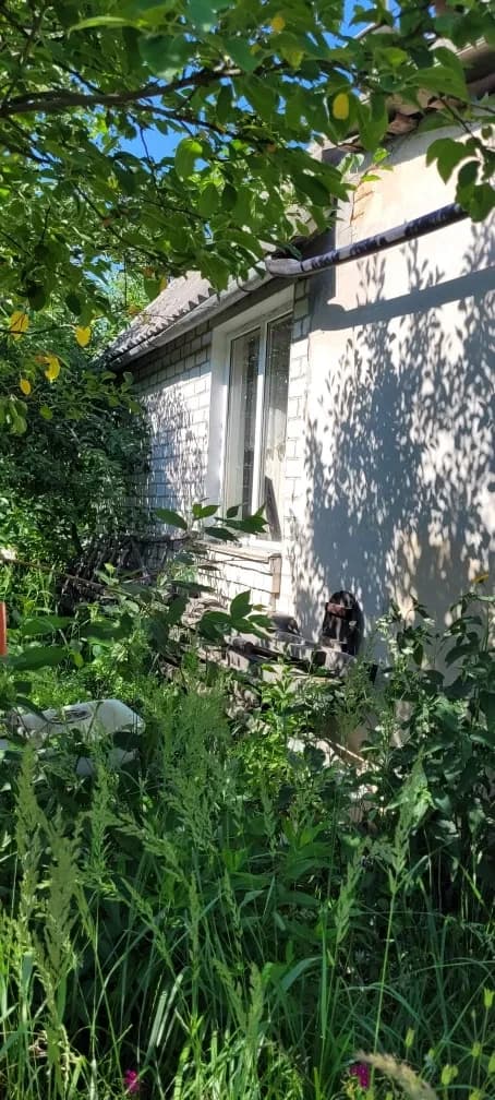 Дача, Поташня: біля лісу, теплиця - фото 3