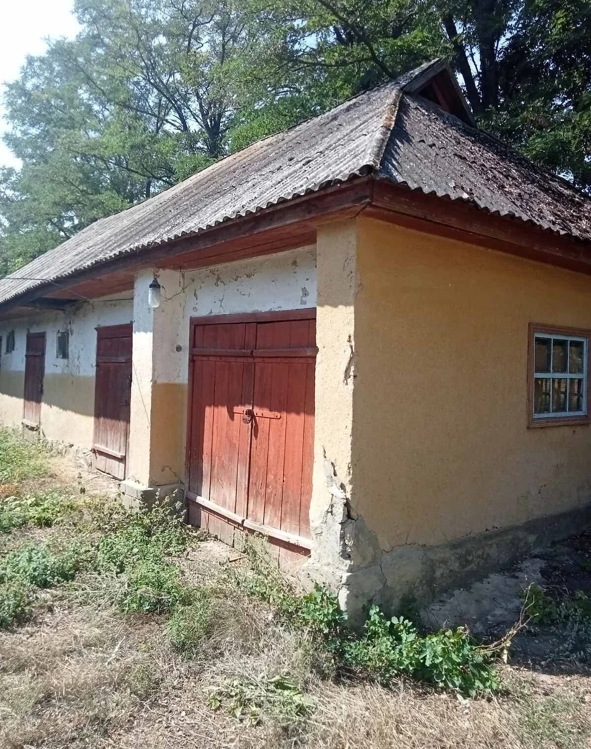 Будинок, Синьки: гараж, 40 соток, єВідновлення - фото 5
