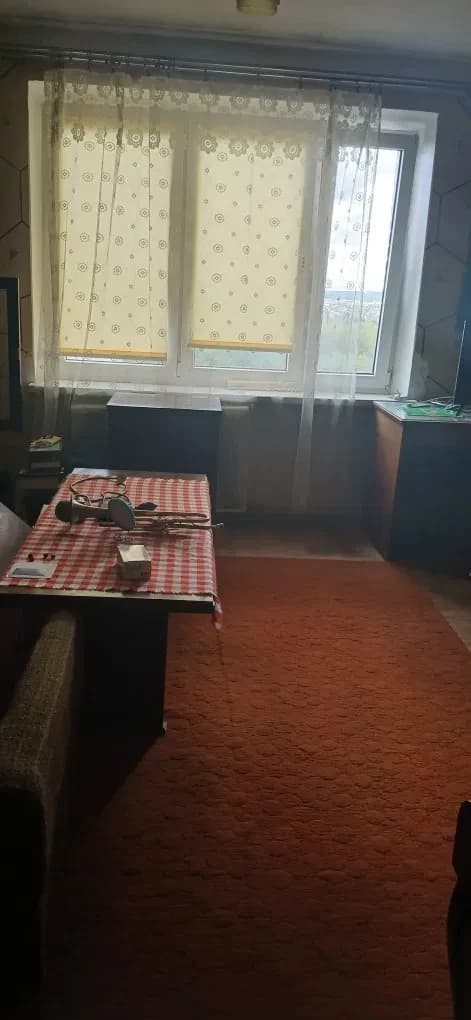 Чешка, Личаківський: панорамний вид, техповерх, під ремонт - фото 3