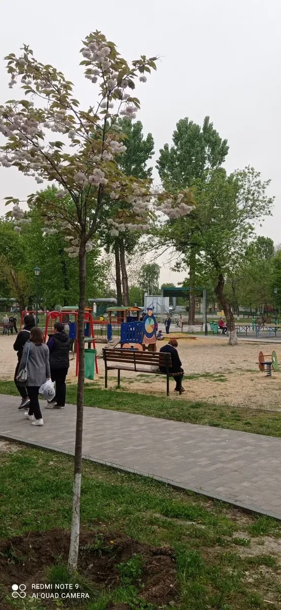 Ділянка 10 соток, Степова Новоселівка: під забудову, проїзне місце - фото 4