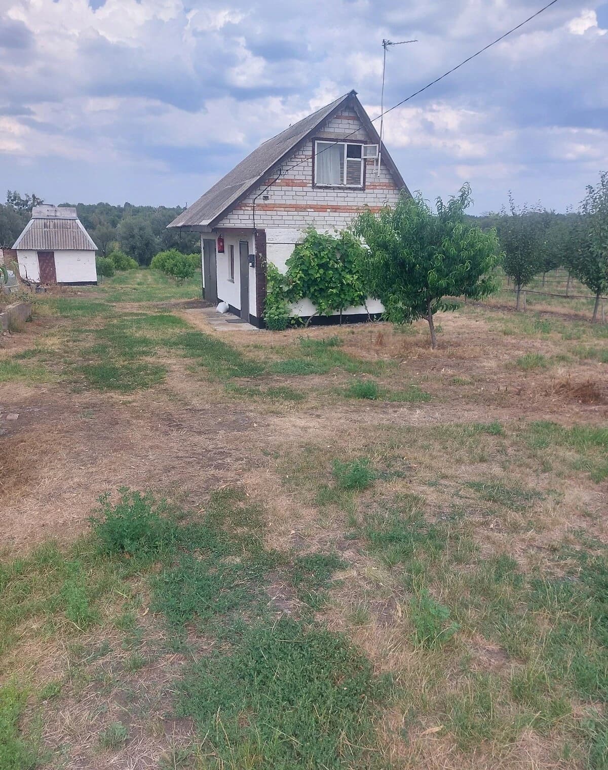 Виробниче приміщення, Сигнаївка: діючий бізнес, 2,5 га - фото 3