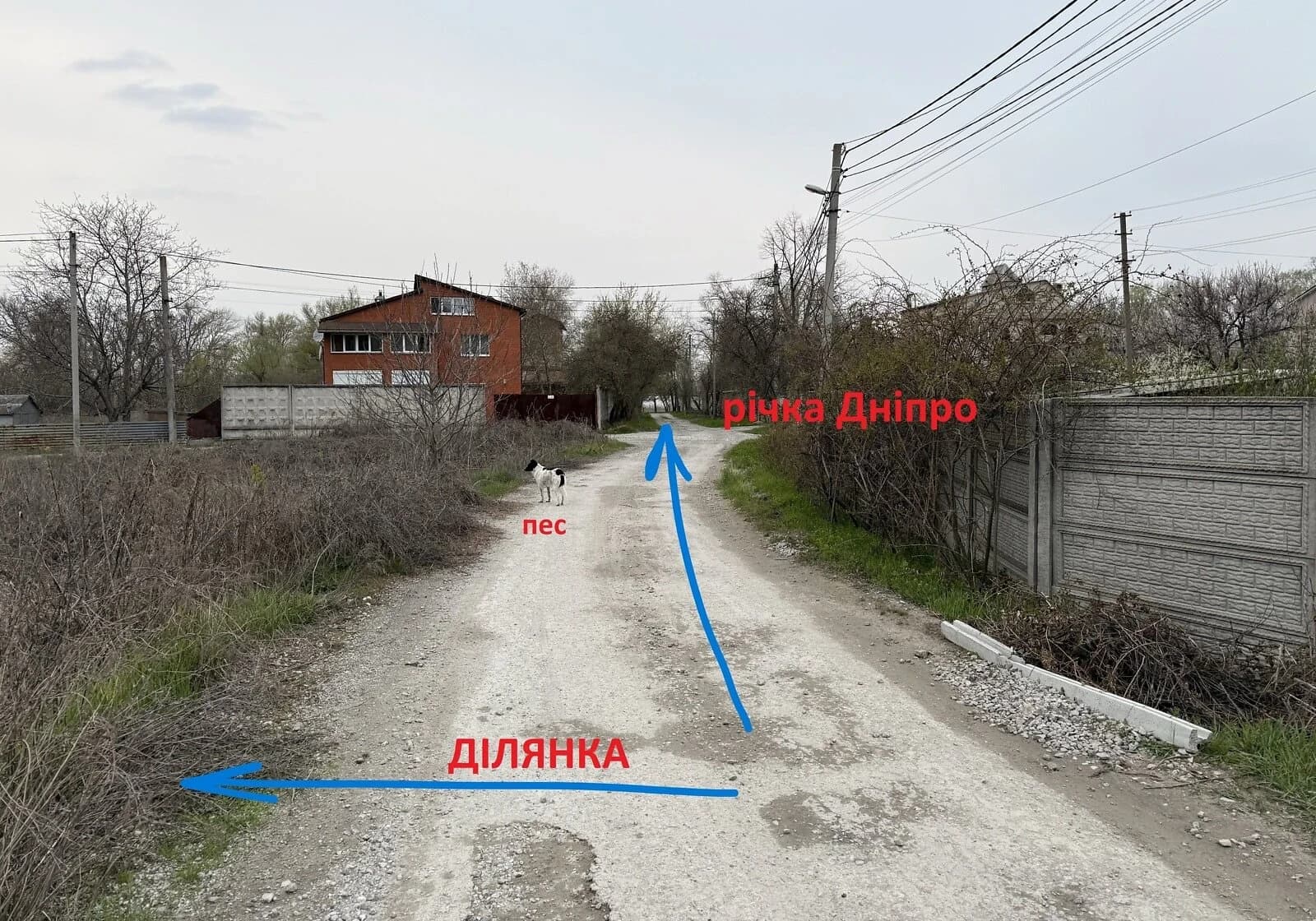 Ділянка 7.37 сотки, Новокодацький: під житлову забудову, під гараж - фото 4