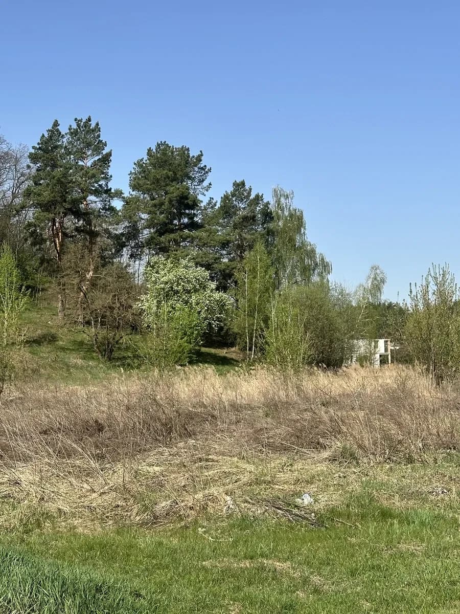 Ділянка 5 соток, Ходосівка: 20 м до лісу, електрика - фото 5