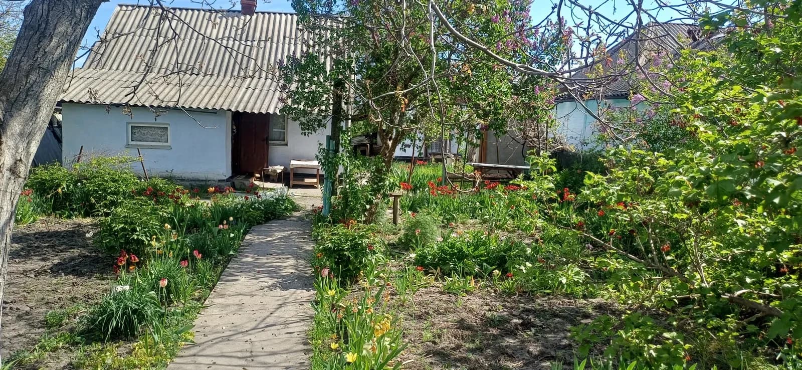 Будинок, Кінецьпіль: 6 соток городу, свердловина