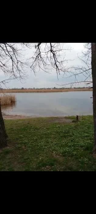Ділянка 9 соток, Новоселівка: річка, електрика, свердловина - фото 3