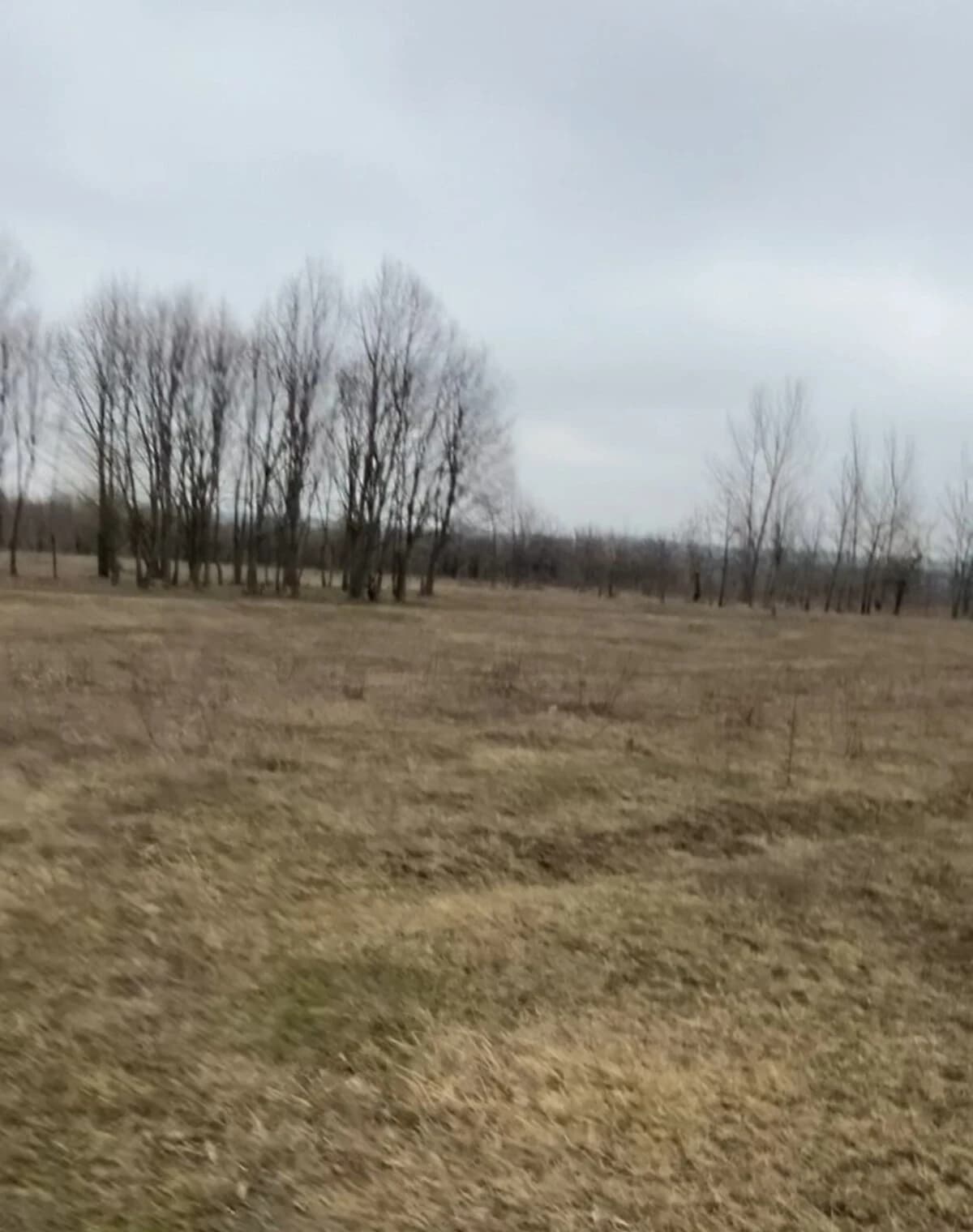 Ділянка 9.39 соток, Новокодацький: під житлову забудову, торг можливий - фото 3