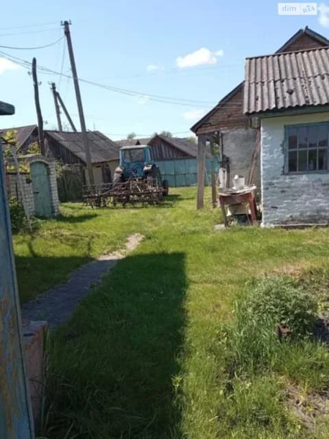 Будинок, Крути: криниця, сад, літня кухня - фото 5