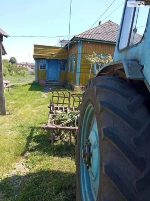 Будинок, Крути: криниця, сад, літня кухня - фото 4