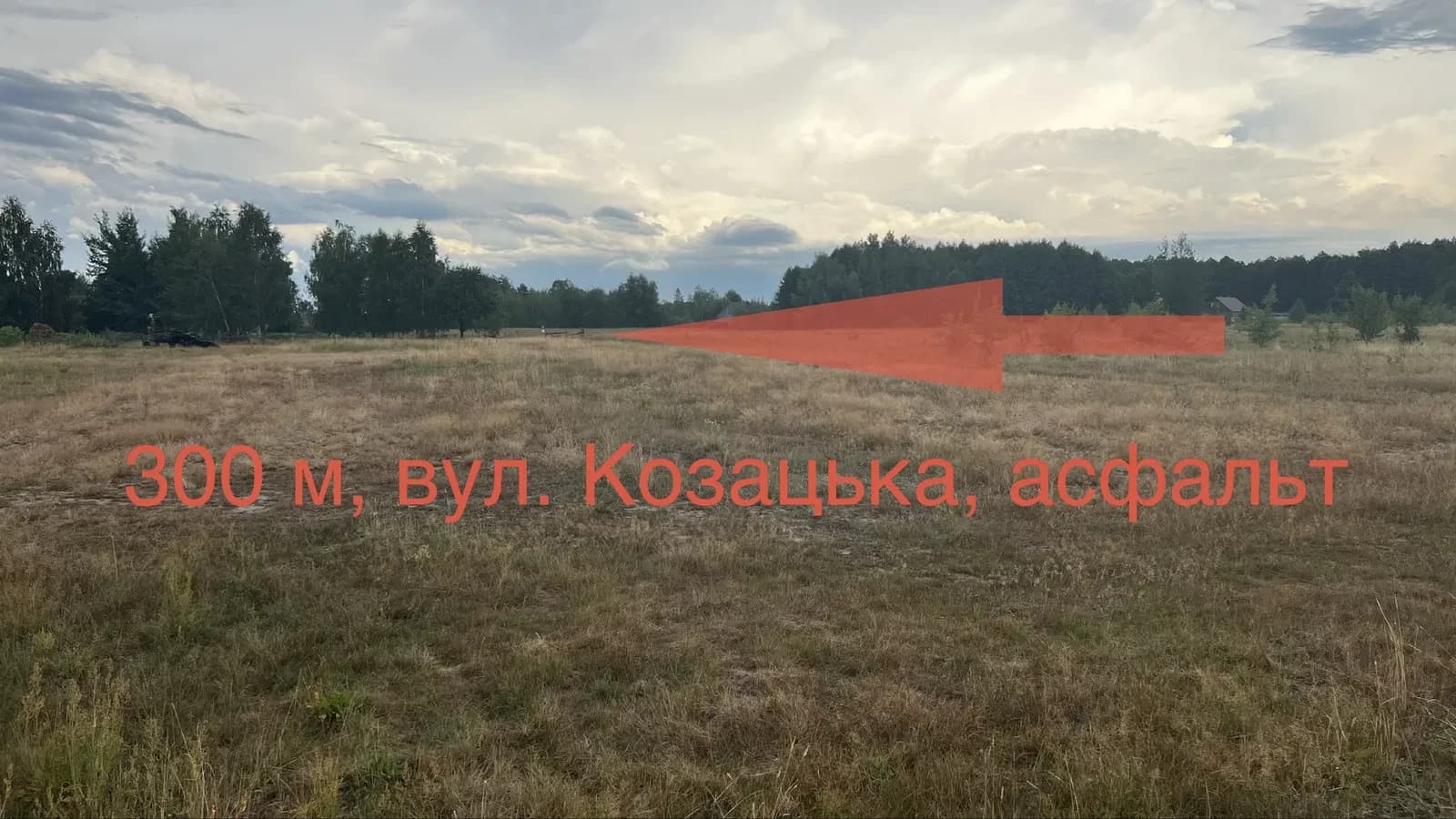 Ділянка 33 соток, Світязь: 3 хв до озера, дозвіл на зміну призначення - фото 3