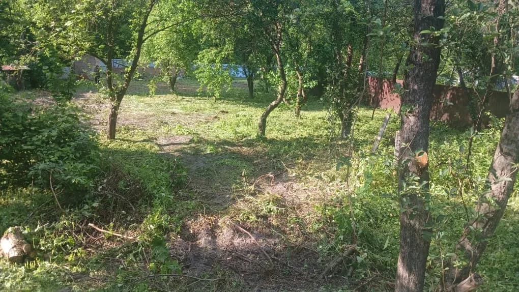 Ділянка 12 соток, Стоянка: під будівництво, межує з лісом - фото 2